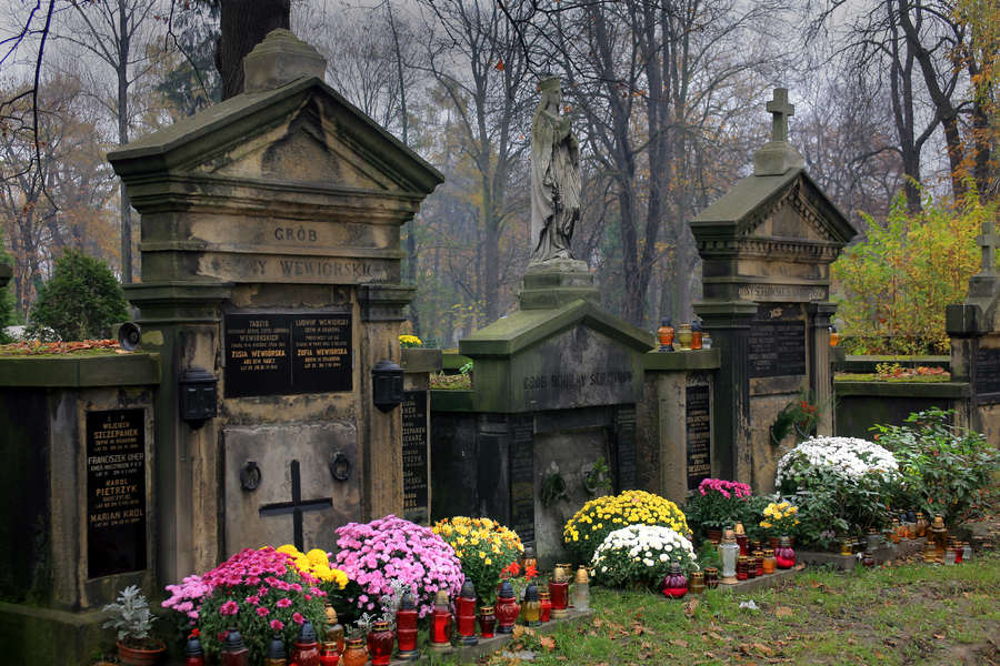 spis.php?category_id=391