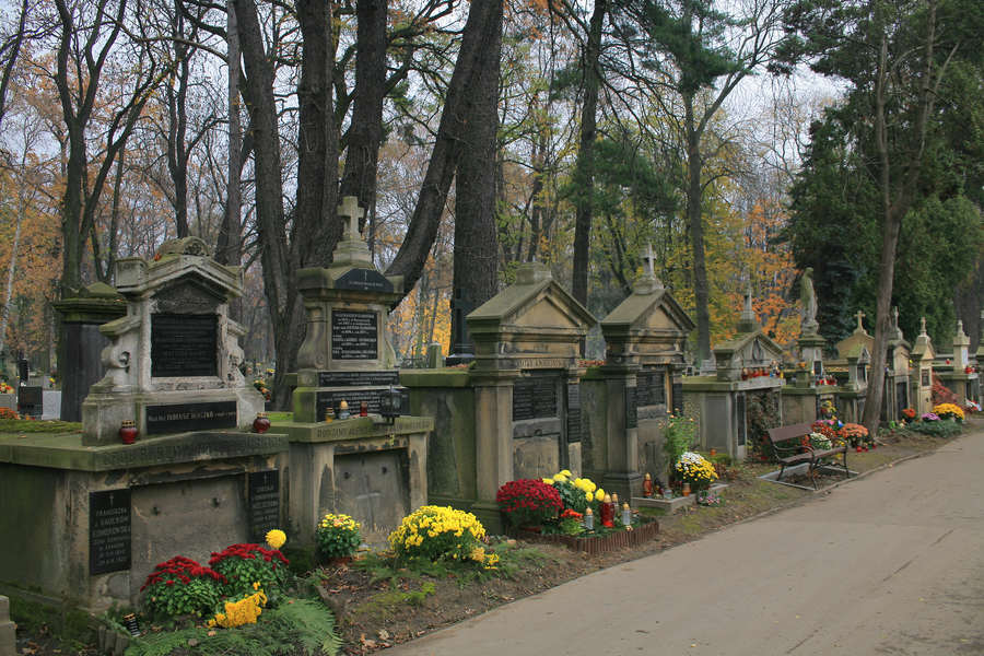 spis.php?category_id=391