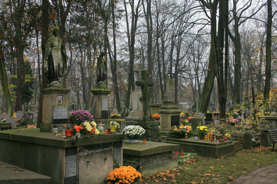 spis.php?category_id=391