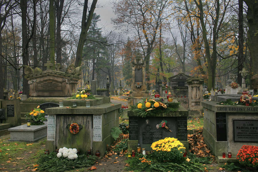 spis.php?category_id=391