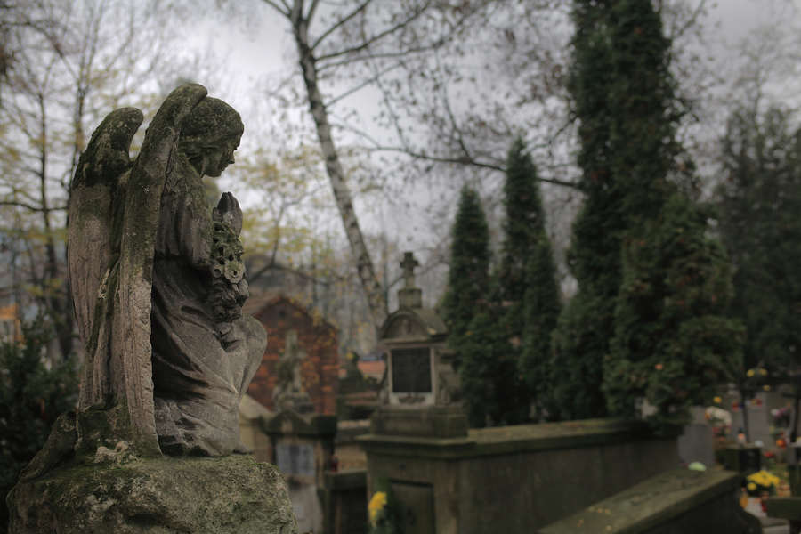 spis.php?category_id=391