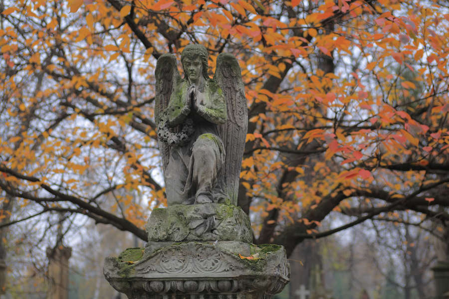 spis.php?category_id=391