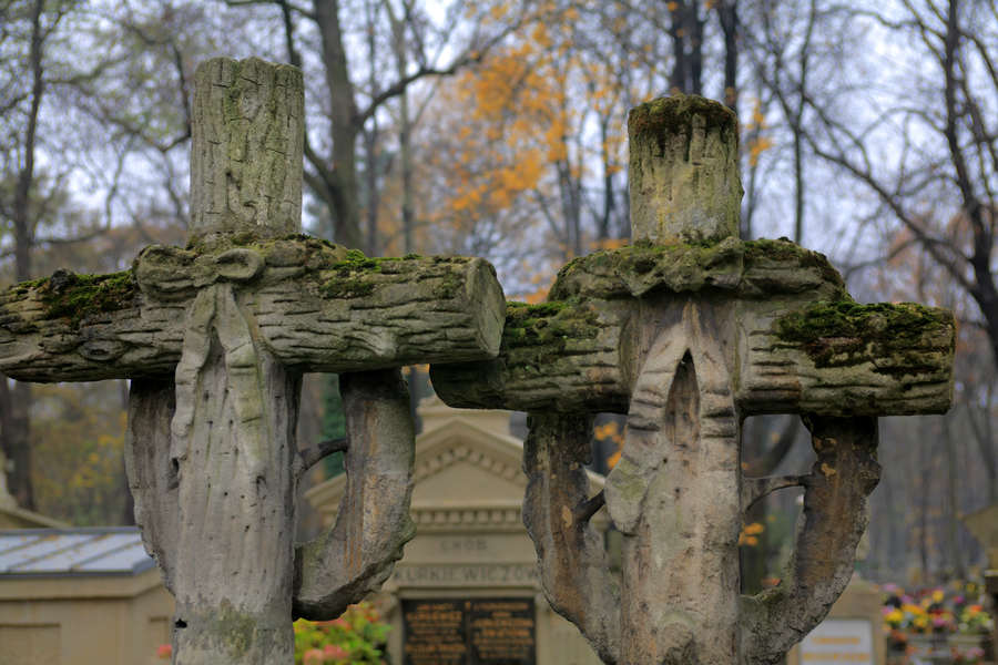 spis.php?category_id=391