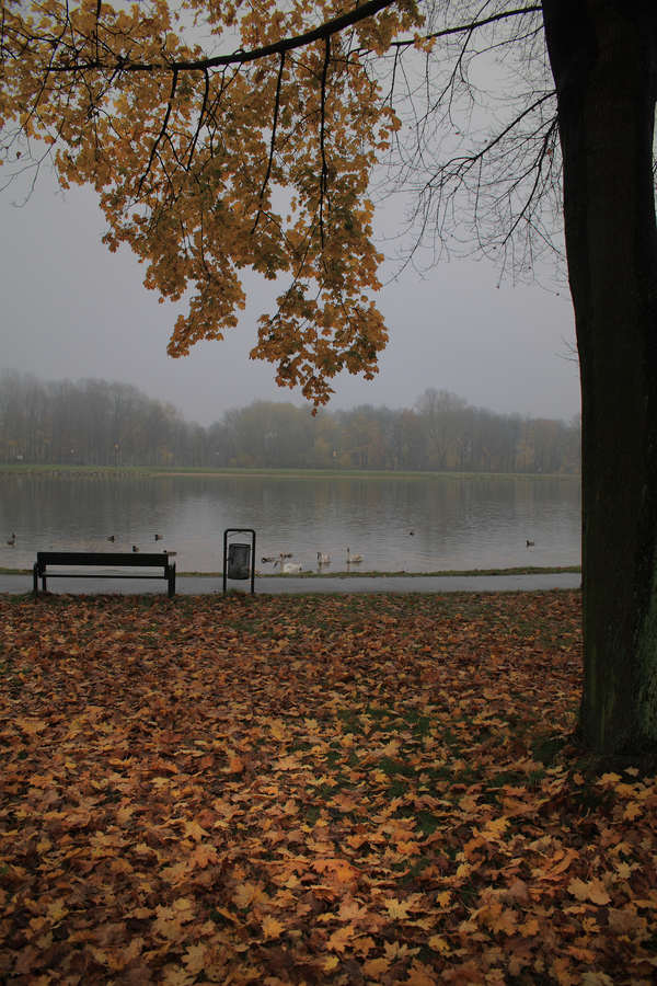 spis.php?category_id=392