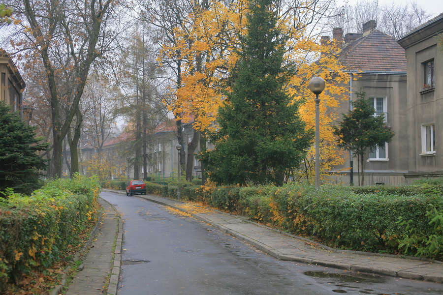 spis.php?category_id=392