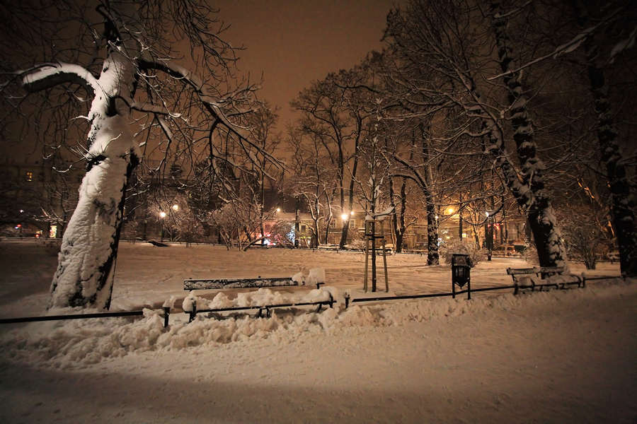 spis.php?category_id=395