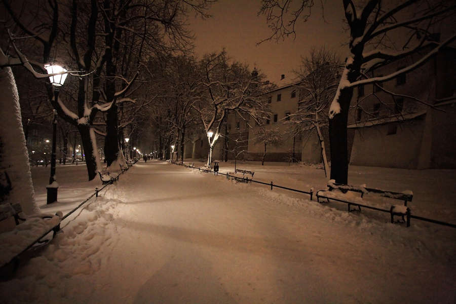 spis.php?category_id=395