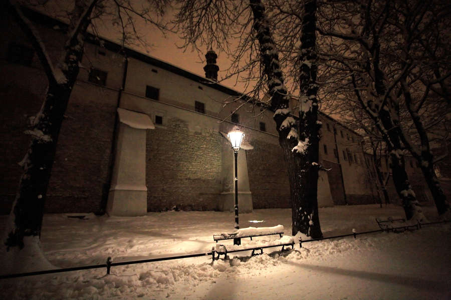 spis.php?category_id=395