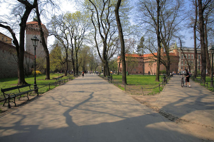 spis.php?category_id=404