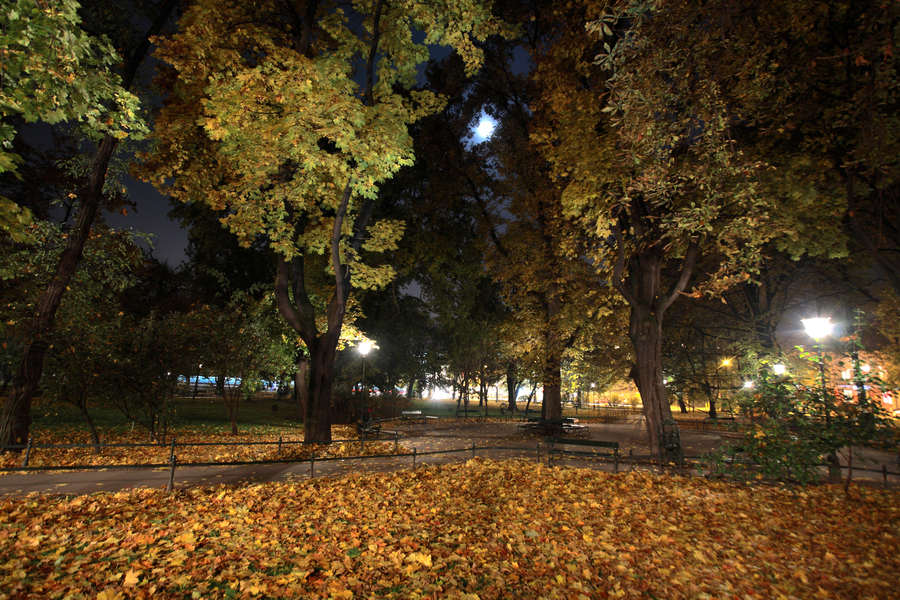 spis.php?category_id=406