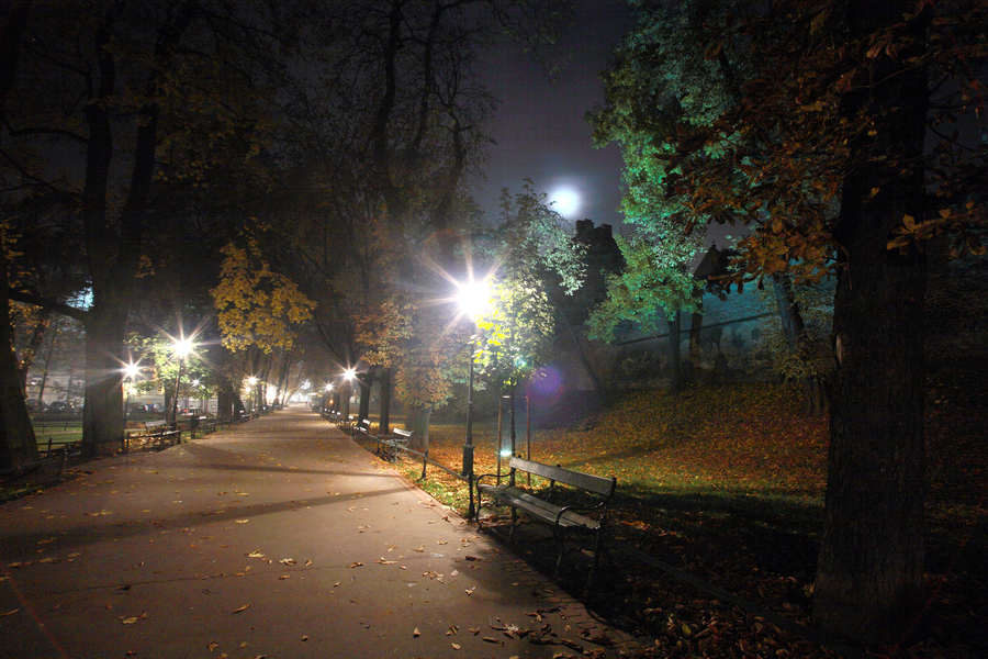 spis.php?category_id=406