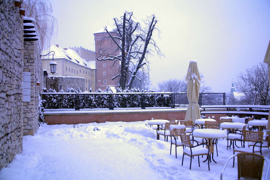 spis.php?category_id=407