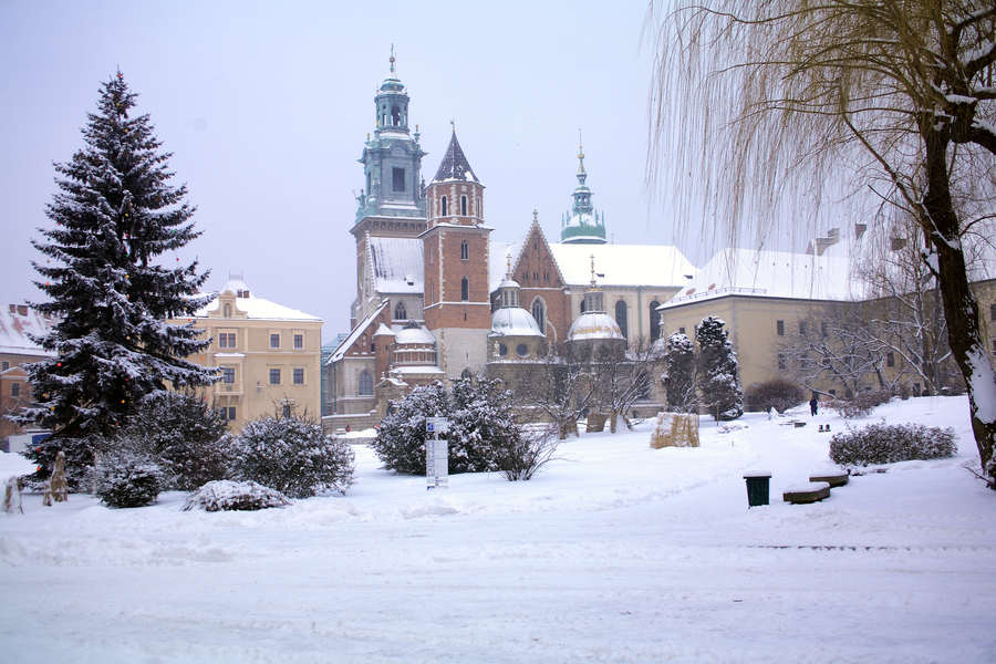 spis.php?category_id=407