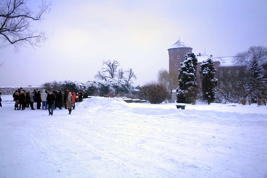 spis.php?category_id=407