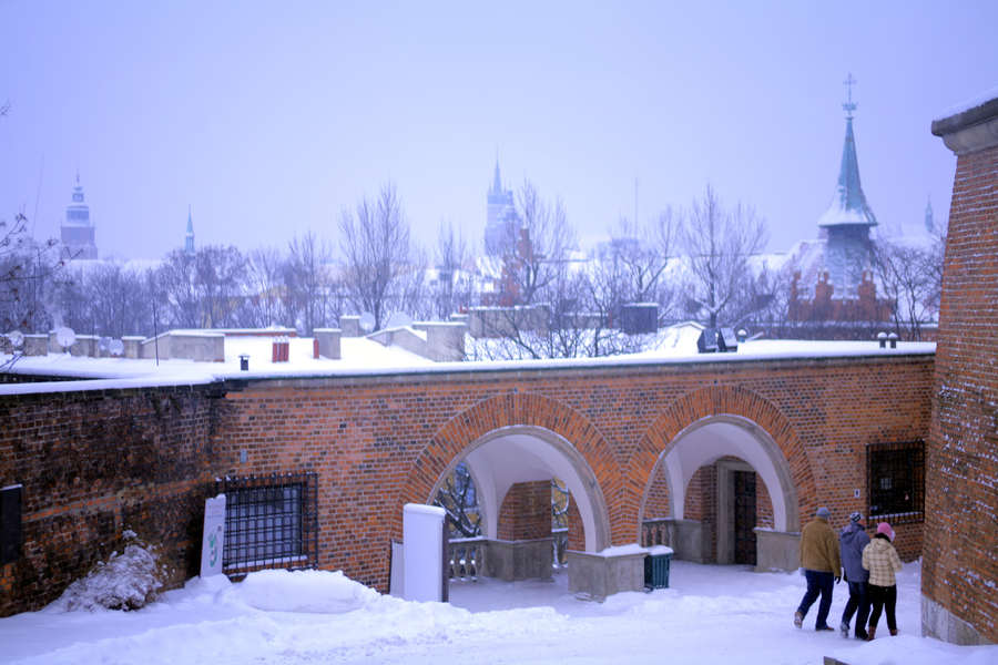 spis.php?category_id=407