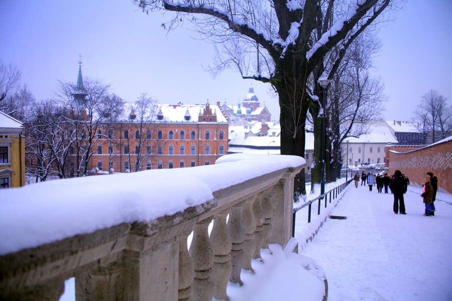 spis.php?category_id=407