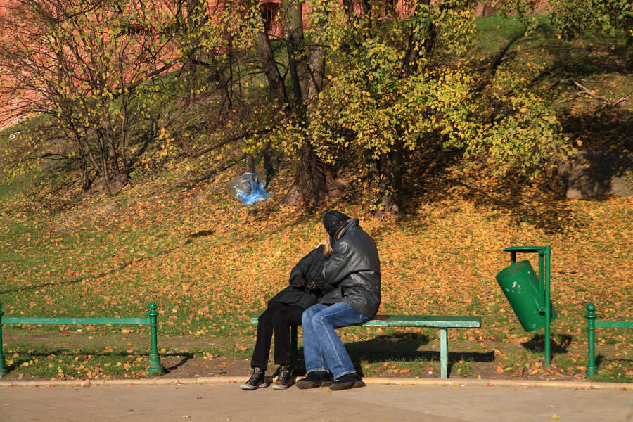 spis.php?category_id=411