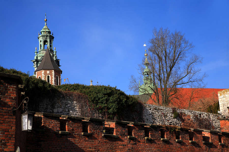 spis.php?category_id=411