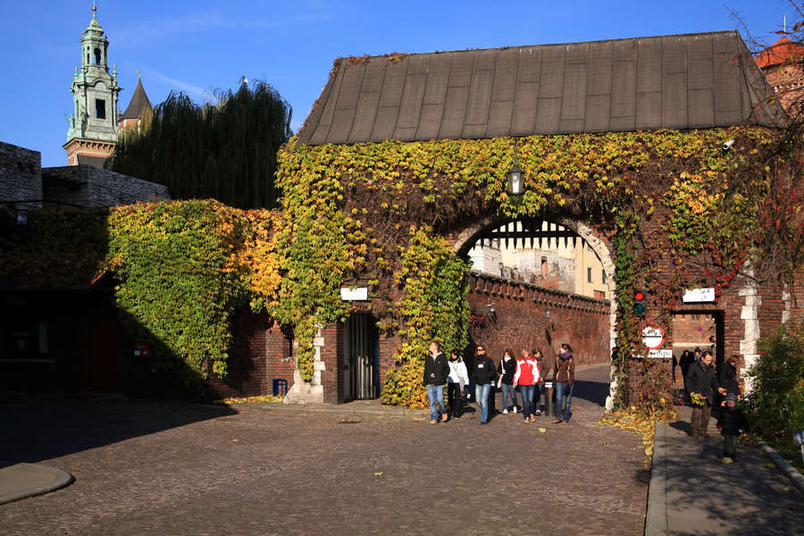 spis.php?category_id=411