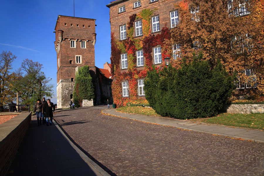 spis.php?category_id=411