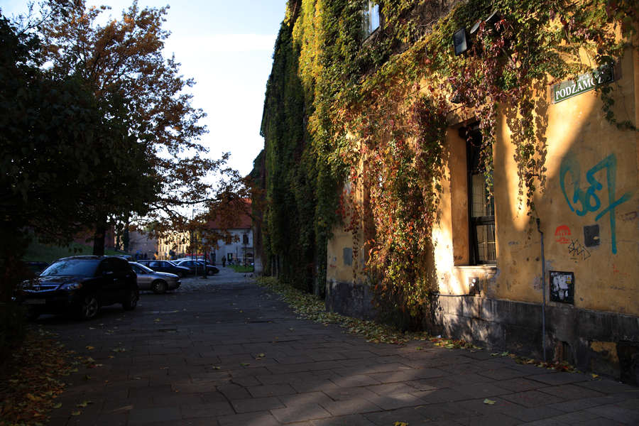 spis.php?category_id=411