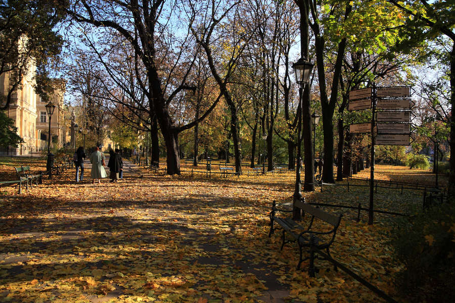 spis.php?category_id=411