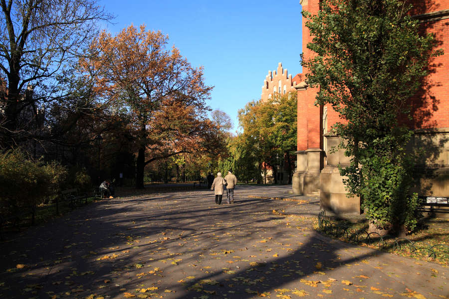 spis.php?category_id=411