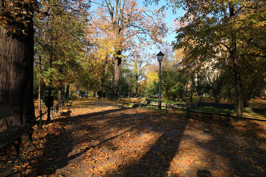 spis.php?category_id=411