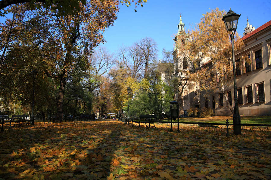 spis.php?category_id=411