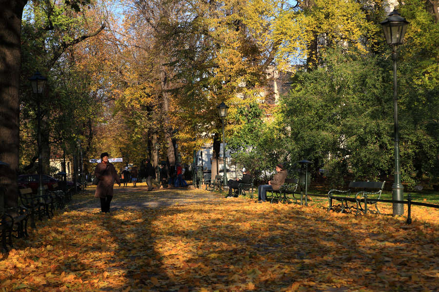 spis.php?category_id=411