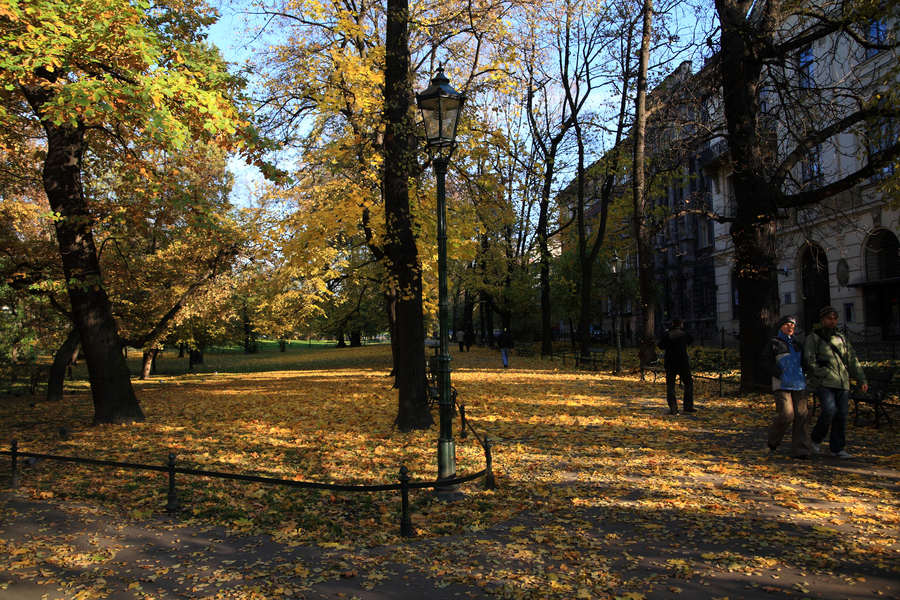 spis.php?category_id=411