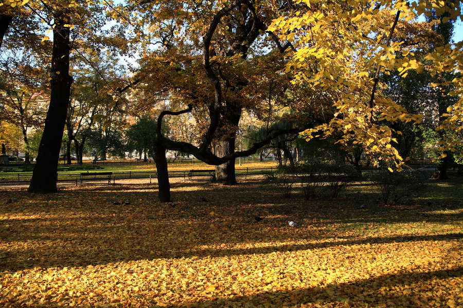 spis.php?category_id=411