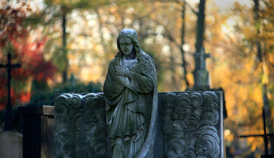 spis.php?category_id=412