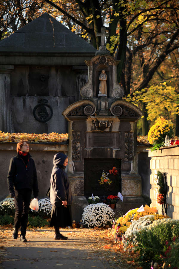 spis.php?category_id=412