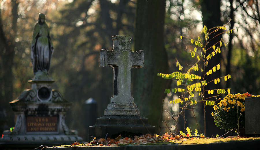 spis.php?category_id=412