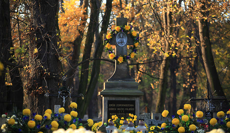 spis.php?category_id=412