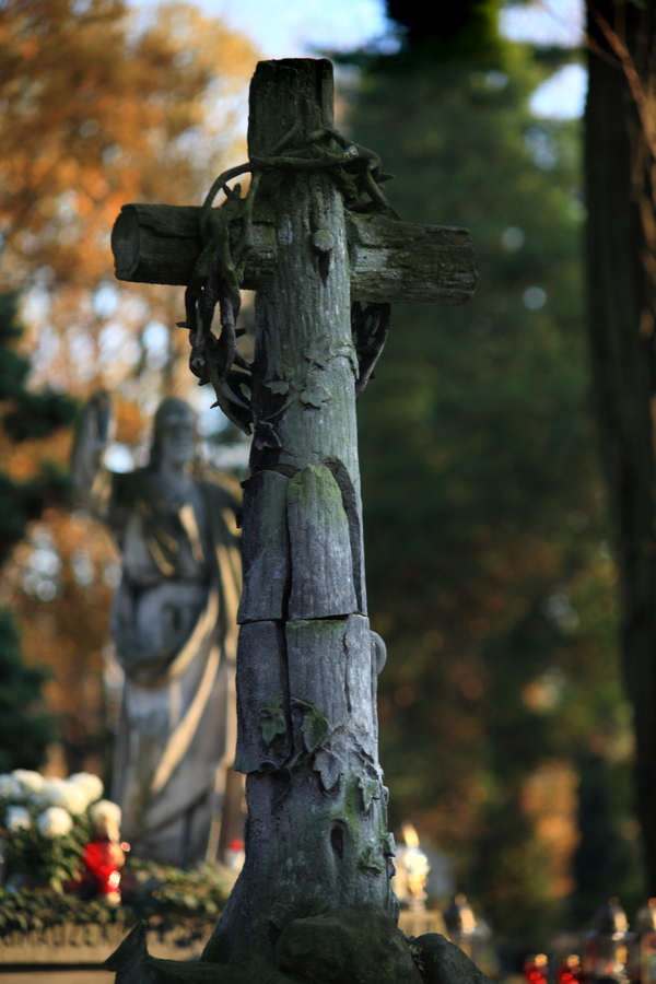 spis.php?category_id=412