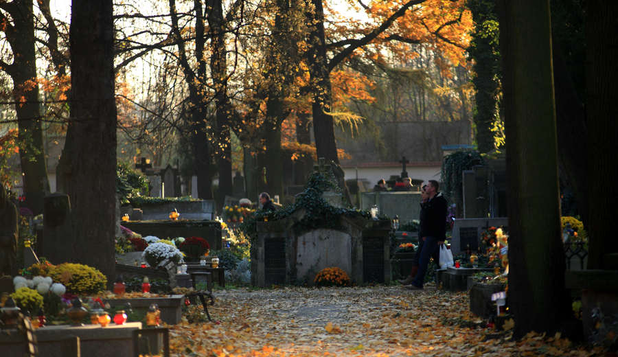 spis.php?category_id=412