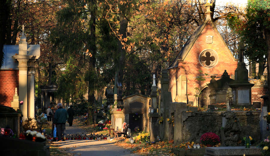 spis.php?category_id=412