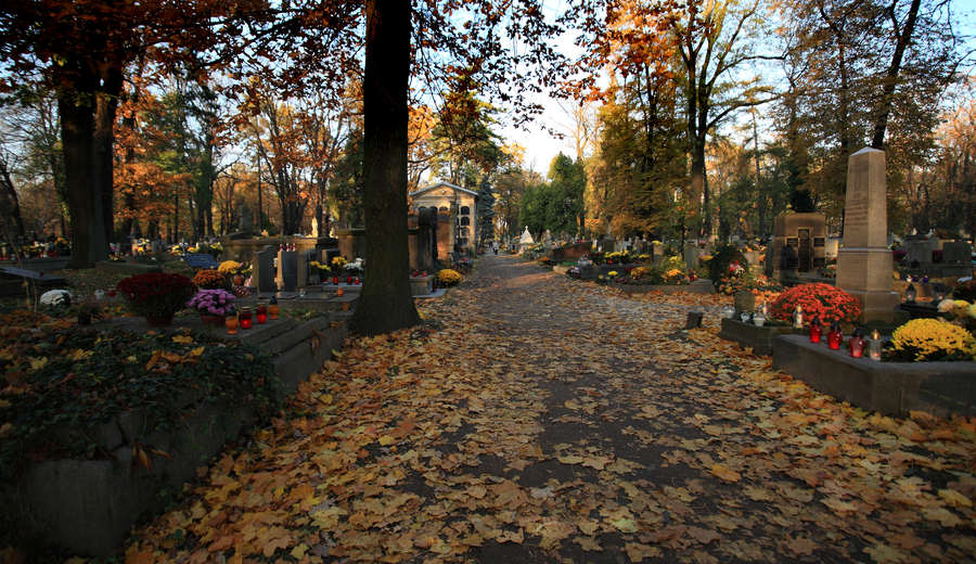 spis.php?category_id=412