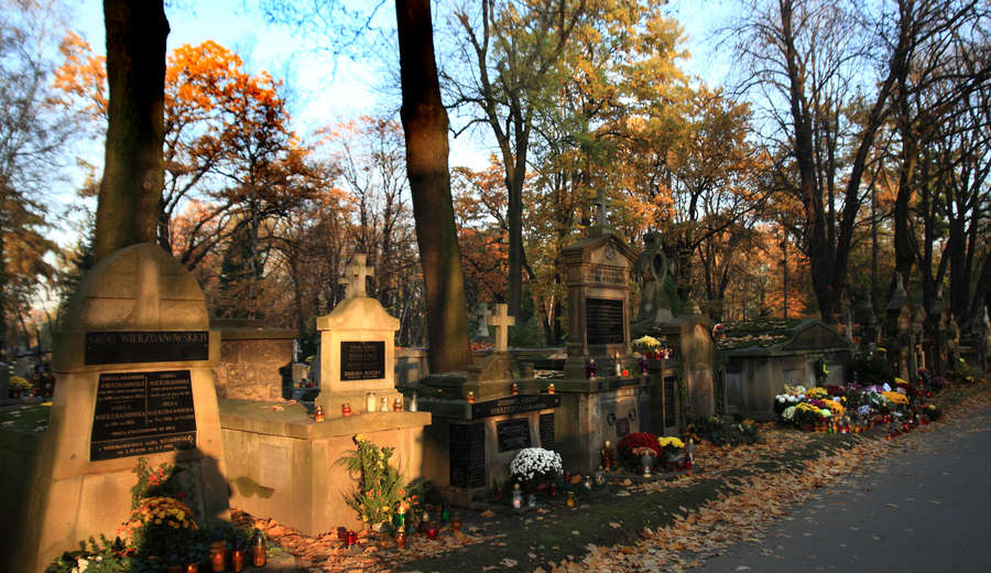 spis.php?category_id=412