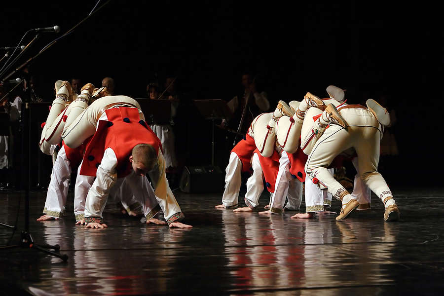 spis.php?category_id=422