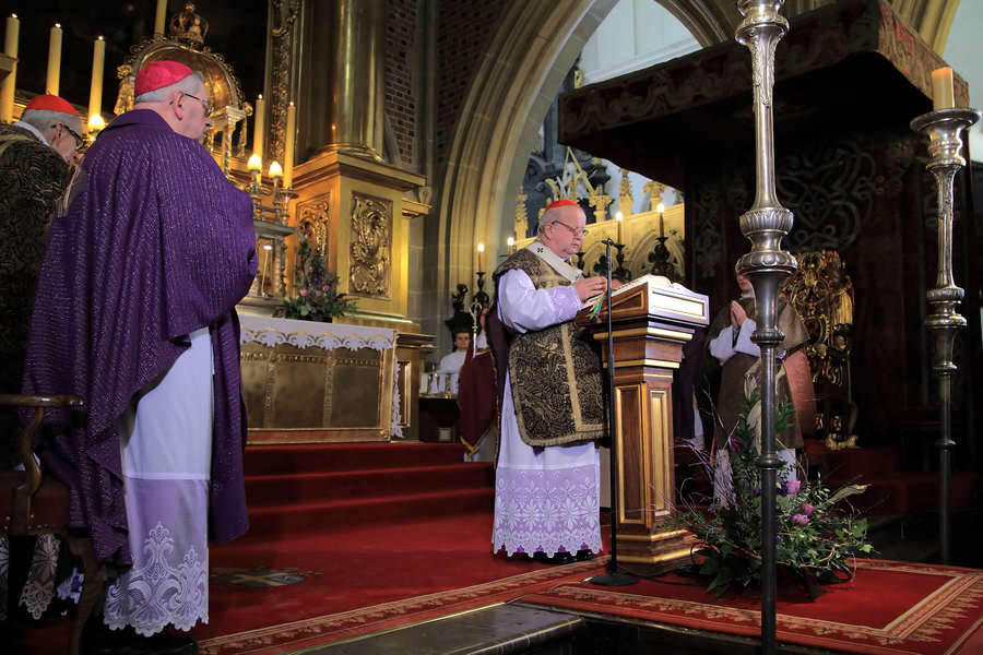 spis.php?category_id=419